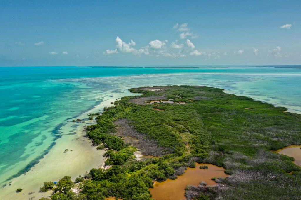 Caribe mexicano